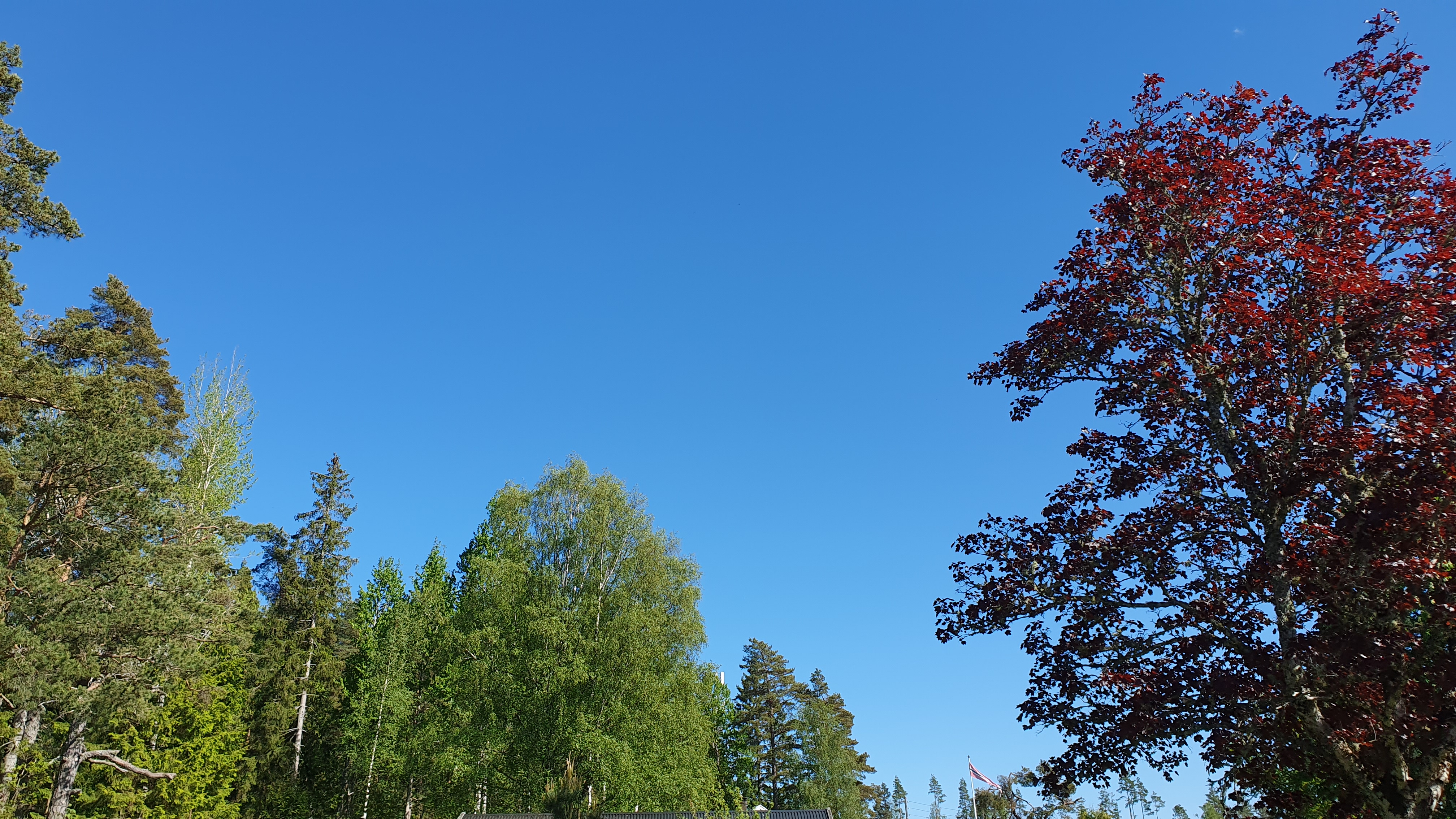 Sky photo